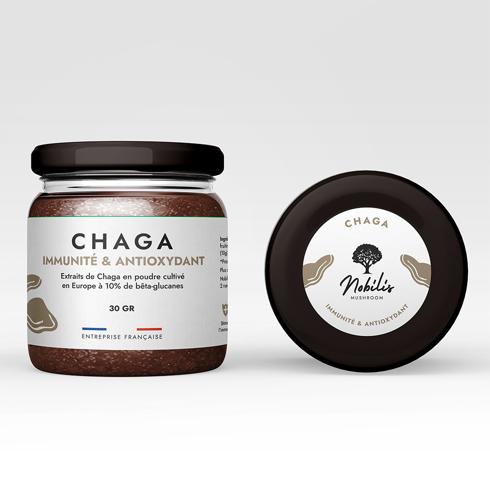 Chaga Nobilis Mushroom - 1